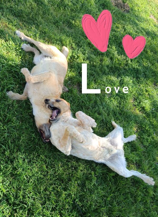 Jude E Kiss Due Anime Gemelle